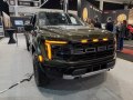 F-Series F-100/F-150