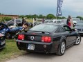 zdjęcie Mustang