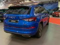 zdjęcie Kodiaq
