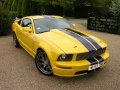 zdjęcie Mustang