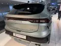 Forthing T5 EVO T5 EVO — 29