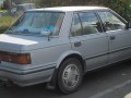 zdjęcie Bluebird