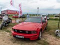 zdjęcie Mustang
