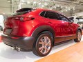 zdjęcie CX-30