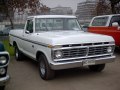 zdjęcie F-Series F-100/F-150
