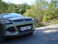 zdjęcie Kuga
