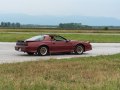 zdjęcie Firebird