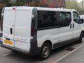 zdjęcie Vivaro