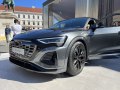 zdjęcie Q8 e-tron