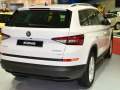 zdjęcie Kodiaq