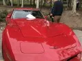 Chevrolet Corvette Corvette Coupe (C3, facelift 1978) — 7