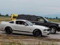 zdjęcie Mustang