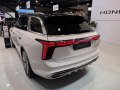 Hongqi E-HS9 E-HS9 — 11