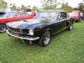 Shelby I