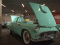 zdjęcie Thunderbird