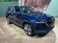 Skoda Karoq Karoq (facelift 2021) — 4