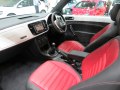 zdjęcie Beetle