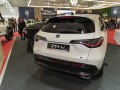 zdjęcie ZR-V
