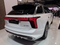 Hongqi E-HS9 E-HS9 — 13