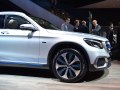 zdjęcie GLC