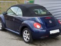 zdjęcie Beetle