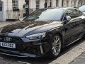 zdjęcie RS 5