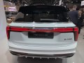 Hongqi E-HS9 E-HS9 — 12