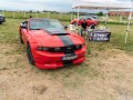 zdjęcie Mustang