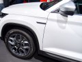 zdjęcie Kodiaq