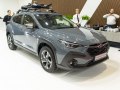 zdjęcie Crosstrek