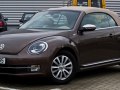 zdjęcie Beetle