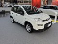zdjęcie Panda