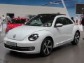 Beetle (A5)
