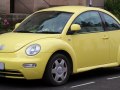 zdjęcie Beetle