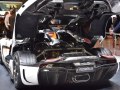 zdjęcie Regera