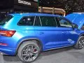 Skoda Kodiaq Kodiaq I — 17