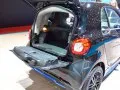 Smart EQ fortwo EQ fortwo (C453) — 24