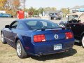 zdjęcie Mustang