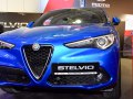zdjęcie Stelvio