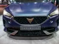 Cupra Formentor Formentor Concept — 5