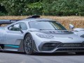 AMG ONE