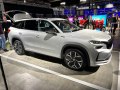 zdjęcie Kodiaq