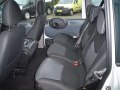 zdjęcie Multipla