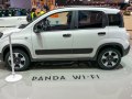 zdjęcie Panda