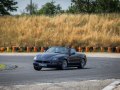 zdjęcie Spyder