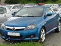 zdjęcie Tigra