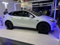 zdjęcie Model Y