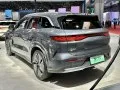 BYD Tang Tang L — 4
