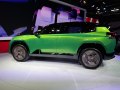 zdjęcie C5 Aircross