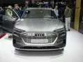 Audi e-tron e-tron — 21